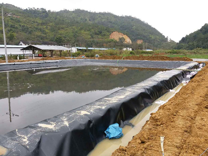 鱼塘里用土工膜做防渗层需不需要回填土壤？